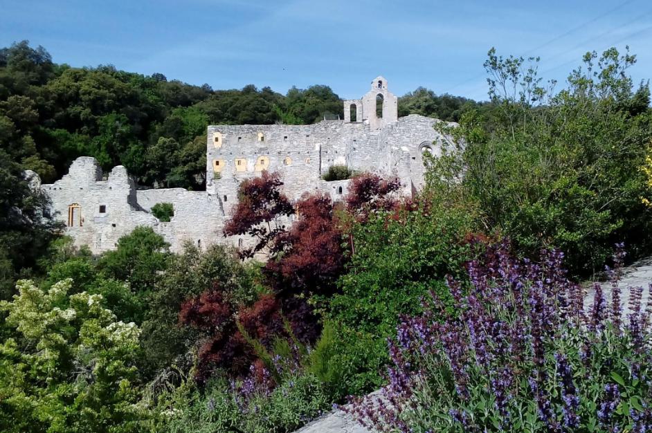 Der Botanische Garten von Santa Catalina
