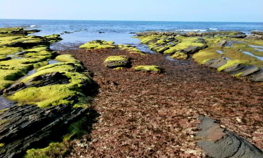 Strand von Ogeia