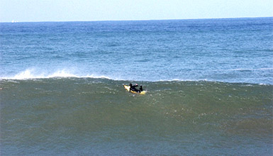 La Galea